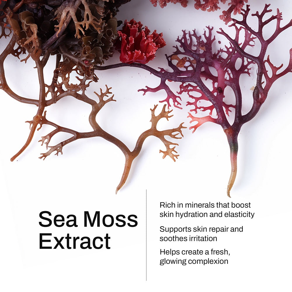 Manuka Honey Sea Moss Nourishing Body Oil
